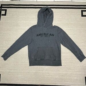 American Eagle Vintage Heathered Fleece Hoodie